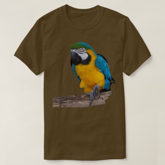 Blauwe goudpapegaai t-shirt (Design voorkant)