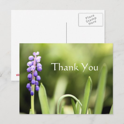 Blauwe grafiek en groene fotografie briefkaart (Voorkant / Achterkant)