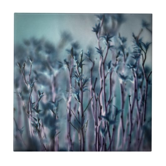 Blauwe gras tegeltje (Voorkant)