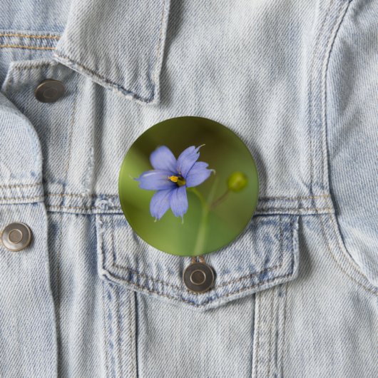 Blauwe gras wilde bloemen Button (In situ)