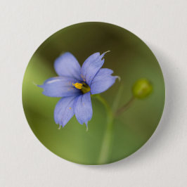 Blauwe gras wilde bloemen Button