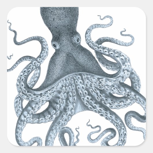 Blauwe grijze  Octopus Illustratie Vierkante Sticker (Voorkant)