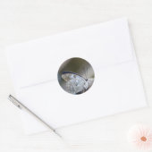Blauwe grijze vlinder ronde sticker (Envelop)