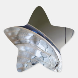 Blauwe grijze vlinder ster sticker