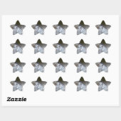 Blauwe grijze vlinder ster sticker (Vel)
