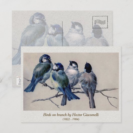 Blauwe grijze vogels op een bijkantoor door Hector Briefkaart (Voorkant / Achterkant)