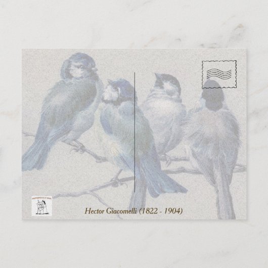 Blauwe grijze vogels op een bijkantoor door Hector Briefkaart (Achterkant)