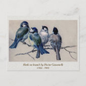 Blauwe grijze vogels op een bijkantoor door Hector Briefkaart (Voorkant)