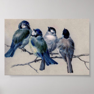 Blauwe grijze vogels op een bijkantoor door Hector Poster