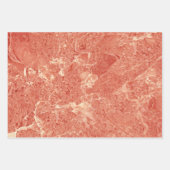 Blauwe, groene en koraalkleurige textuur inpakpapier vel (Voorkant 2)