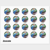 BLAUWE GROENE PAPEGAAI RONDE STICKER (Vel)