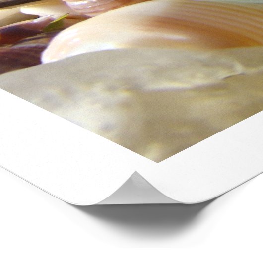 Blauwe groene prints voor zeewier (Hoek)