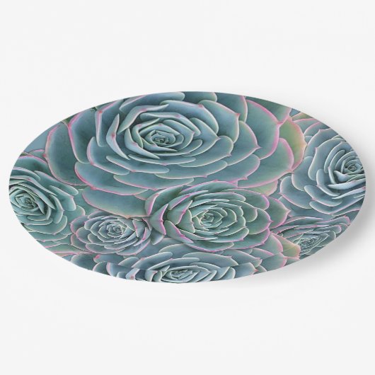 Blauwe Groene Succulenten Grote Bloemen Papieren Bordje (Gekanteld)