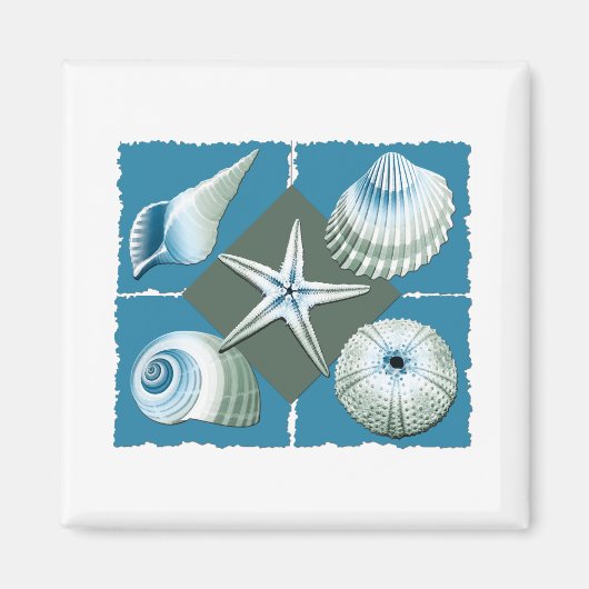Blauwe & Groene Zeeschelpen Magneet (Voorkant)