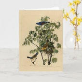 Blauwe Grosbeak van de Amerikaanse vogels van Audu Kaart (Gele Bloem)