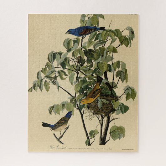 Blauwe Grosbeak van de Amerikaanse vogels van Audu Legpuzzel (Verticaal)