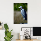 Blauwe grot in het wild poster (Thuiskantoor)
