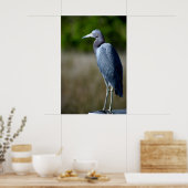 Blauwe grot in het wild poster (Keuken)