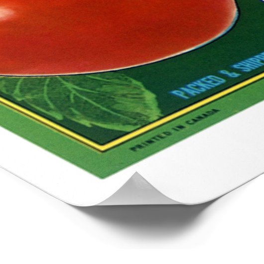 Blauwe Grouse Canadese appels Poster (Hoek)