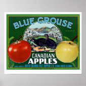 Blauwe Grouse Canadese appels Poster (Voorkant)