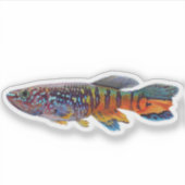 Blauwe gularis Fundulopanchax sjostedti killifish Sticker (Voorkant)