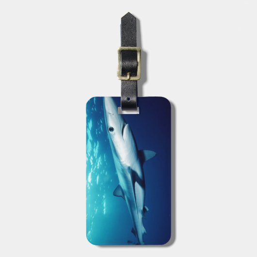 Blauwe haai bagagelabel (Voorkant verticaal)