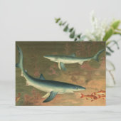  blauwe haai Eating Fish, Marine Life (Staand voorkant)