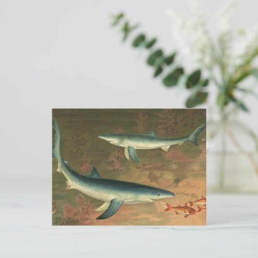  blauwe haai Eating Fish, Marine Life Briefkaart (Staand voorkant)