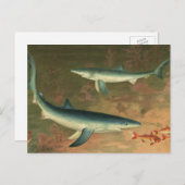  blauwe haai Eating Fish, Marine Life Briefkaart (Voorkant / Achterkant)