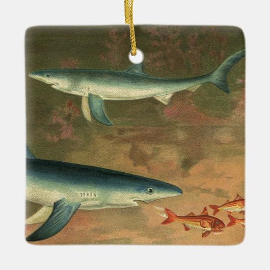  blauwe haai Eating Fish, Marine Life Keramisch Ornament (Voorkant)