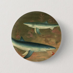  blauwe haai Eating Fish, Marine Life Ronde Button 5,7 Cm