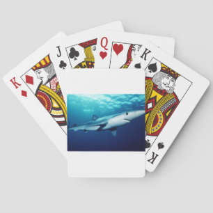 Blauwe Haai Pokerkaarten