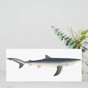 Blauwe Haai, Vintage Aquatisch Zeeleven Marien