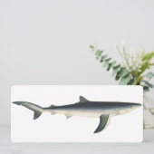  blauwe haai, zeewaardig leven in de aquatische oc (Staand voorkant)