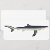  blauwe haai, zeewaardig leven in de aquatische oc (Voorkant / Achterkant)