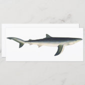 blauwe haai, zeewaardig leven in de aquatische oc (Voorkant / Achterkant)