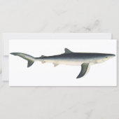 blauwe haai, zeewaardig leven in de aquatische oc (Voorkant)