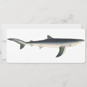  blauwe haai, zeewaardig leven in de aquatische oc (Voorkant)