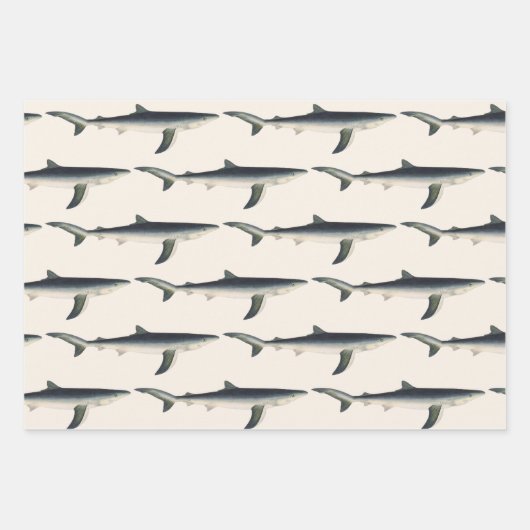  blauwe haai, zeewaardig leven in de aquatische oc inpakpapier vel (Voorkant 2)