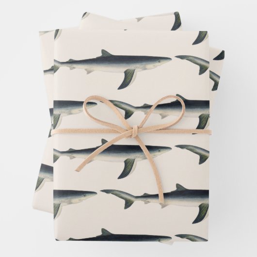  blauwe haai, zeewaardig leven in de aquatische oc inpakpapier vel (In situ)