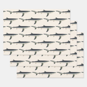  blauwe haai, zeewaardig leven in de aquatische oc inpakpapier vel