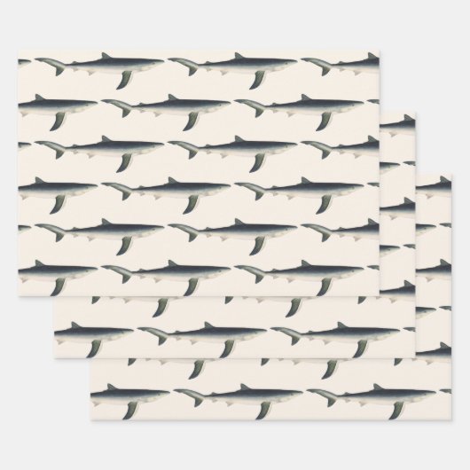 blauwe haai, zeewaardig leven in de aquatische oc inpakpapier vel (Set)