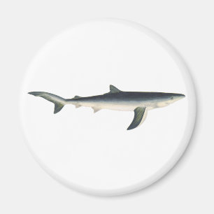  blauwe haai, zeewaardig leven in de aquatische oc magneet