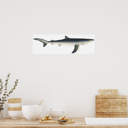 blauwe haai, zeewaardig leven in de aquatische oc poster (Keuken)