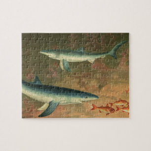 Blauwe haaien die vissen eten, antieke zeeleven legpuzzel