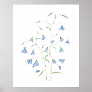 blauwe haarbloemen 2021 waterverf poster