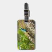 Blauwe hagedikalotes bagagelabel (Voorkant verticaal)