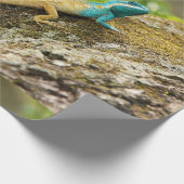 Blauwe hagedikalotes cadeaupapier (Hoek)