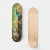 Blauwe hagedikalotes Mystaceus Skateboard (Voorkant)