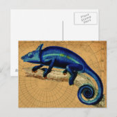 Blauwe hagedis briefkaart (Voorkant / Achterkant)